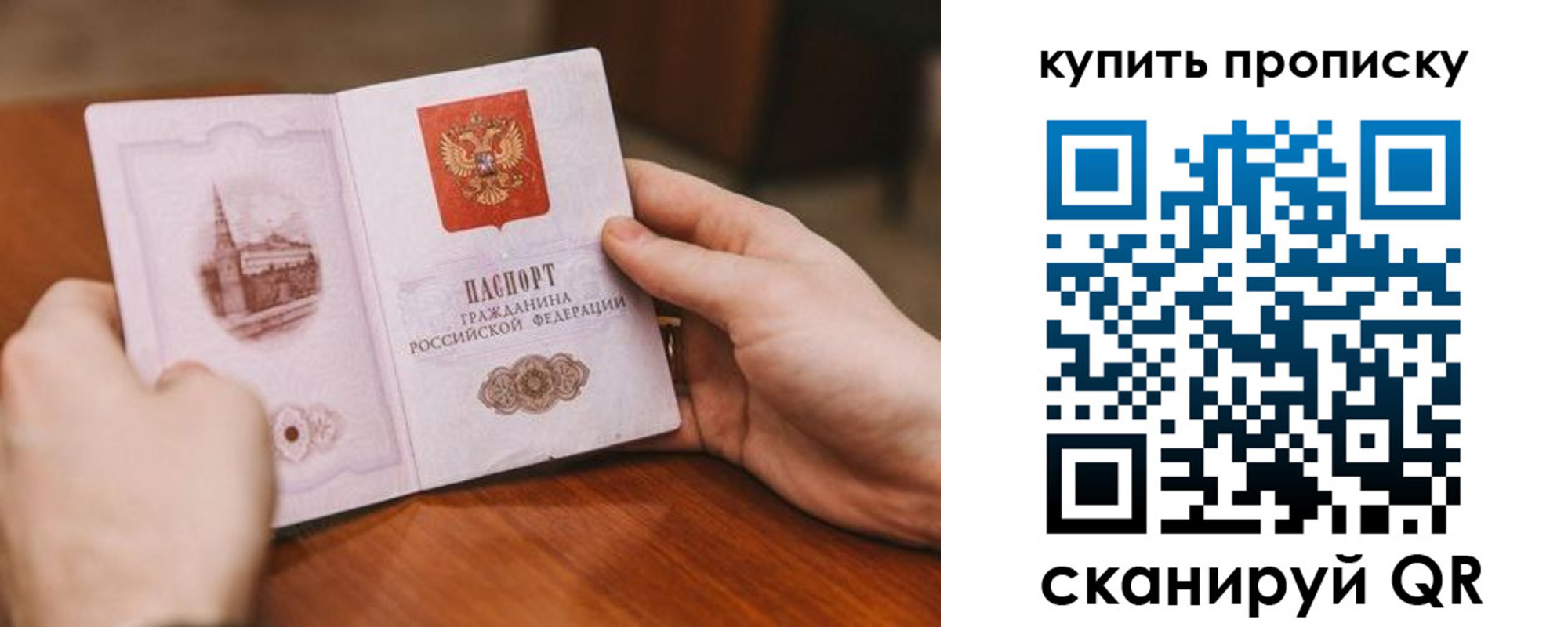 прописка законно в Коле