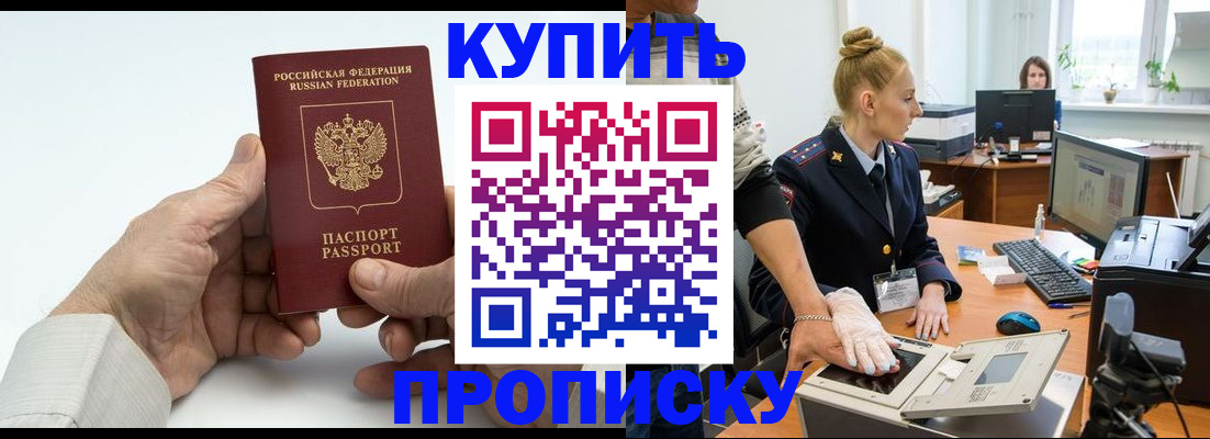 временная регистрация поиск в Коле